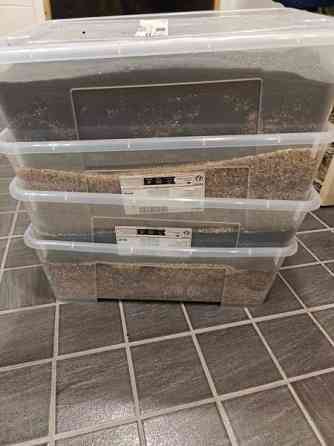 Woha Icana akvaario 240L (Käyttämätön) Вантаа