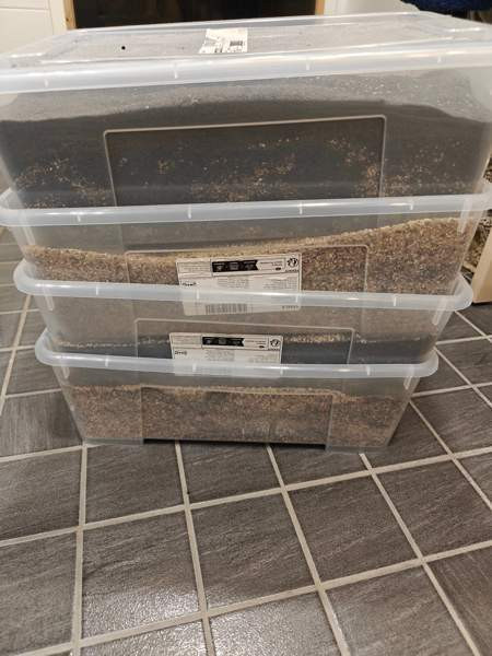 Woha Icana akvaario 240L (Käyttämätön) Vantaa – foto 4