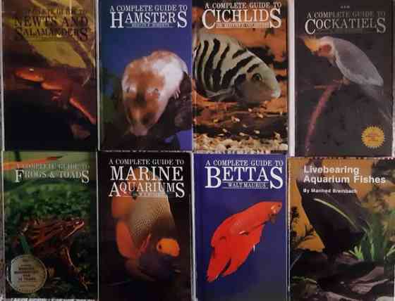 ENGLANNINKIELISIÄ t.f.h-OPPAITA 7kpl Kauhajoki