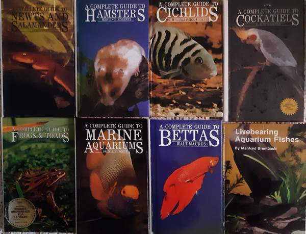 ENGLANNINKIELISIÄ t.f.h-OPPAITA 7kpl Kauhajoki – foto 1