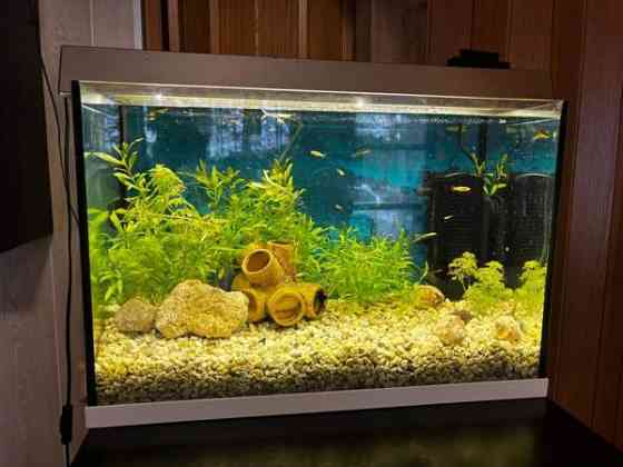 Juwel akvaariopaketti 70L Kärkölä