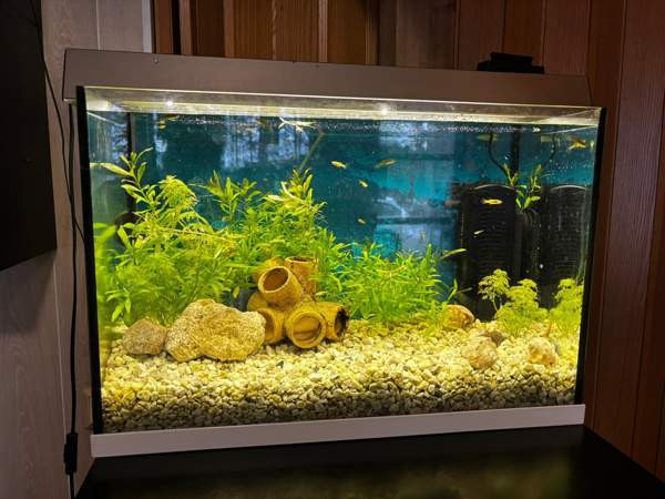 Juwel akvaariopaketti 70L Kärkölä - valokuva 1