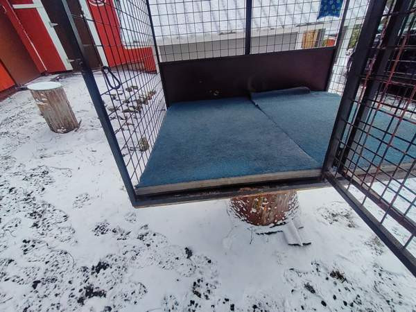 Autohäkki pakettiautoon Sastamala - valokuva 8