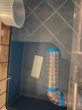 Hamsterin häkki Kemi