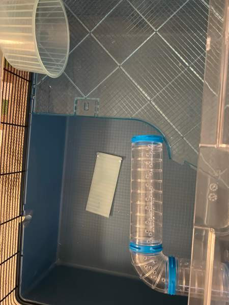 Hamsterin häkki Кеми - изображение 2