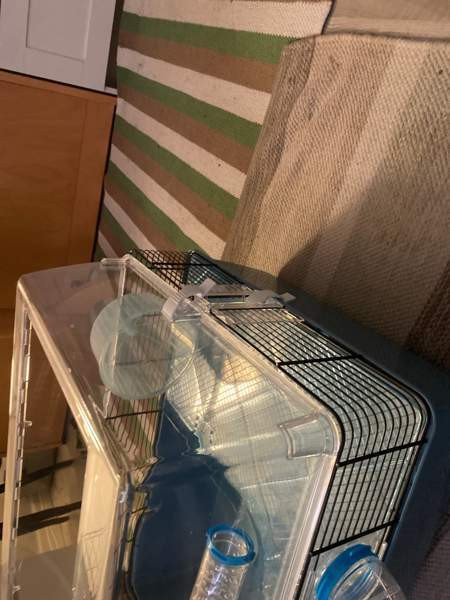 Hamsterin häkki Кеми - изображение 3