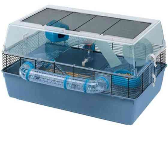 Duna fun large Vantaa