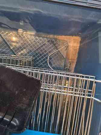 Duna fun large Vantaa