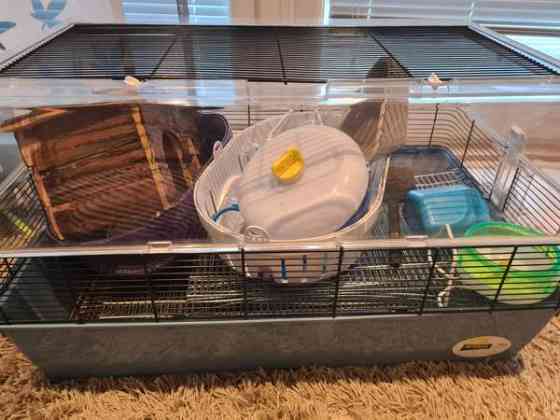 Duna fun large Vantaa