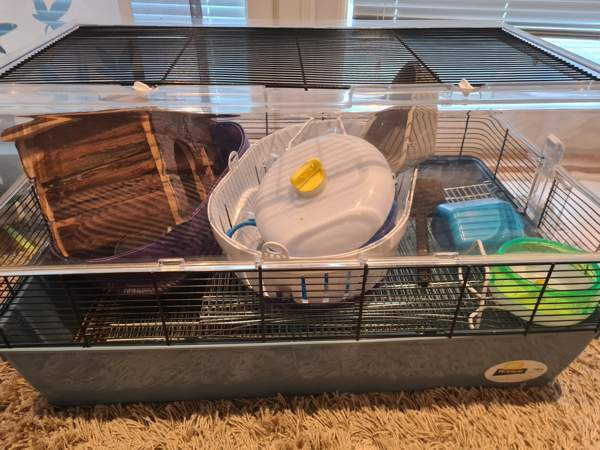 Duna fun large Vantaa - photo 2