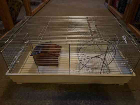 hamsterin häkki Vantaa