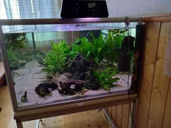 640l akvaario tarvikkeineen ja kaloineen Ii
