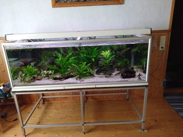 640l akvaario tarvikkeineen ja kaloineen Ii - valokuva 1