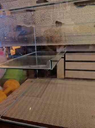 Gerbiilin häkki Janakkala