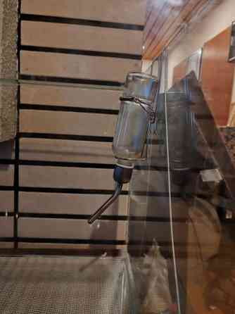 Gerbiilin häkki Janakkala