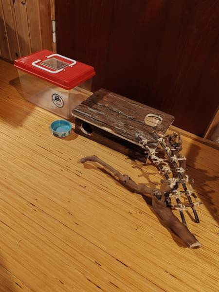 Gerbiilin häkki Janakkala – foto 4