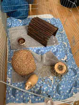 Marsuhäkki 2 kpl Vantaa