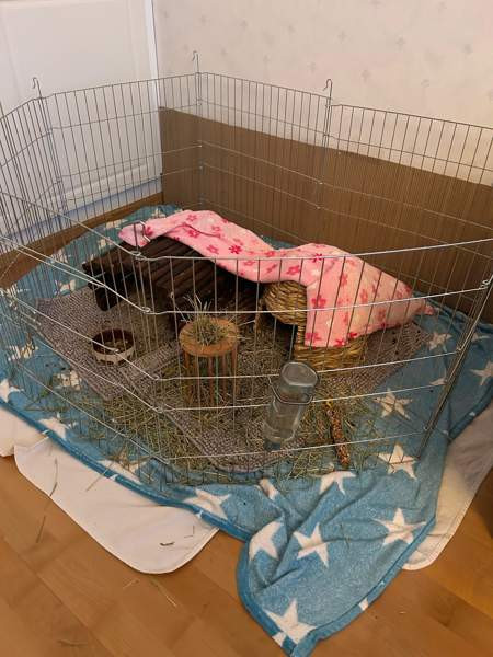 Marsuhäkki 2 kpl Vantaa - valokuva 2