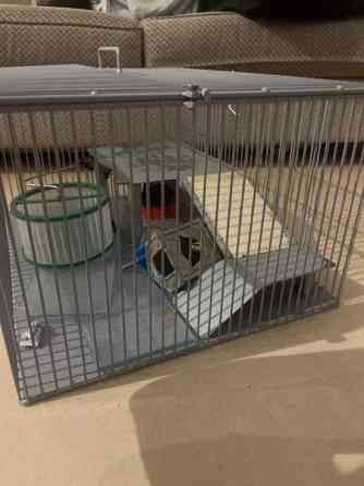 myydään jyrsiä häkki Вантаа