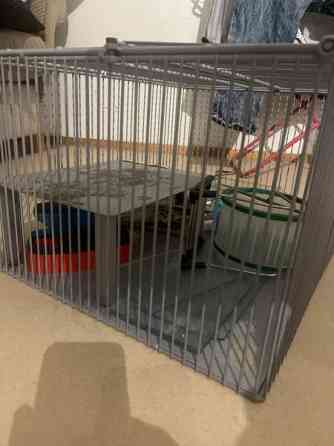 myydään jyrsiä häkki Вантаа