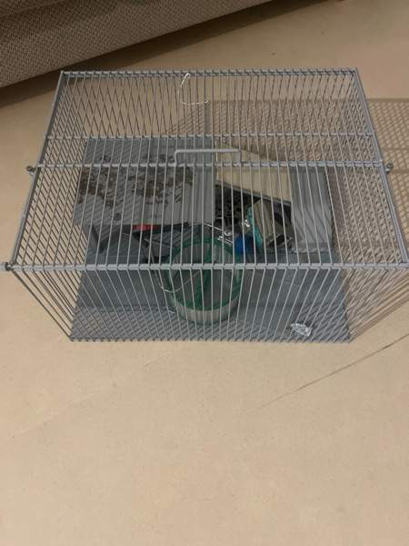 myydään jyrsiä häkki Vantaa - valokuva 1