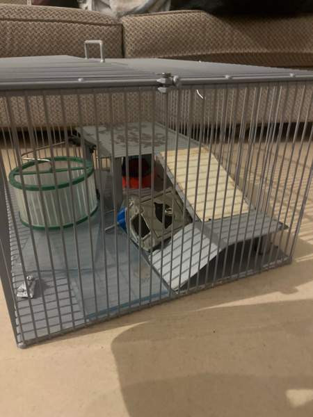 myydään jyrsiä häkki Vantaa - valokuva 3