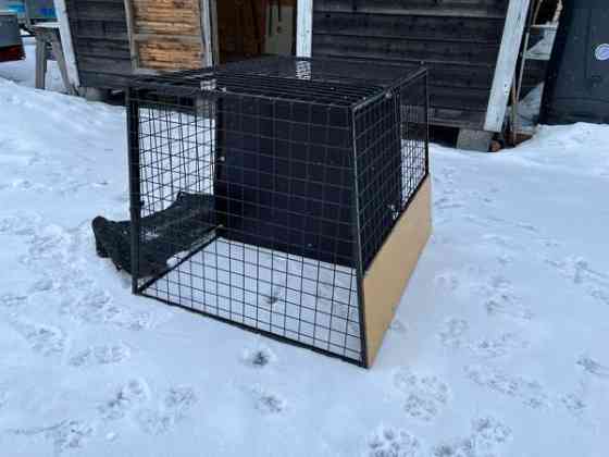 Koirahäkki Силинъярви