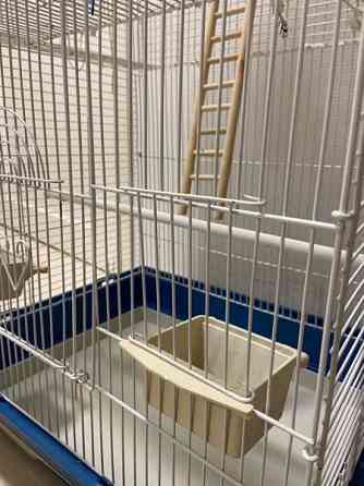 Iso linnunhäkki ja tarvikkeet Оулу