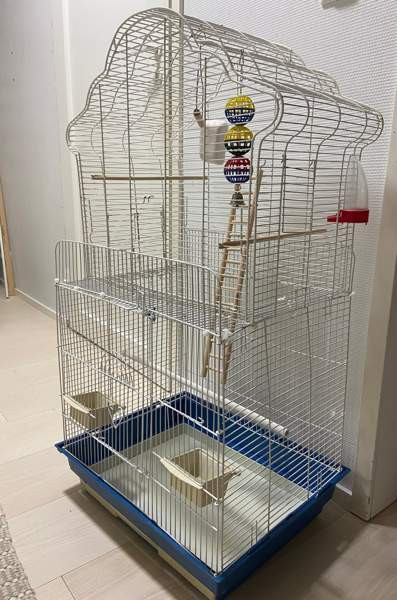 Iso linnunhäkki ja tarvikkeet Оулу - изображение 1