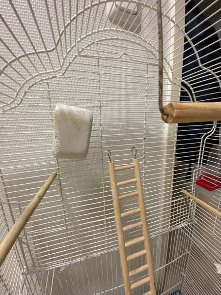 Iso linnunhäkki ja tarvikkeet Оулу - изображение 7