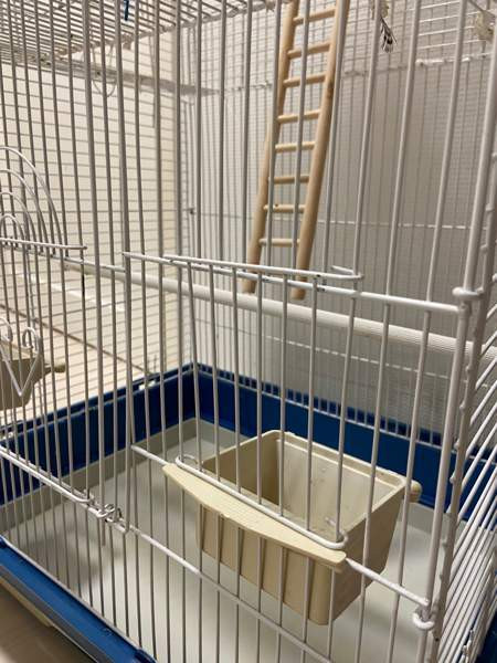 Iso linnunhäkki ja tarvikkeet Оулу - изображение 2