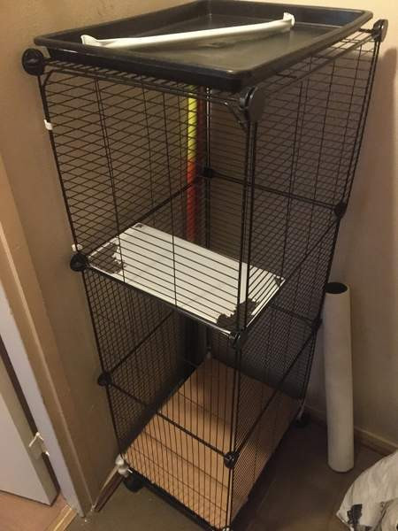 Lintuhäkki Хейнола - изображение 1