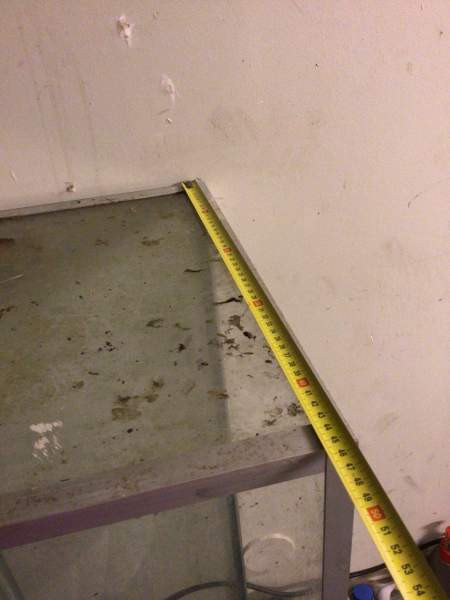 Terraario/akvaario Savonlinna - valokuva 5