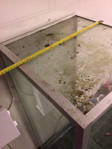 Terraario/akvaario Savonlinna - valokuva 7