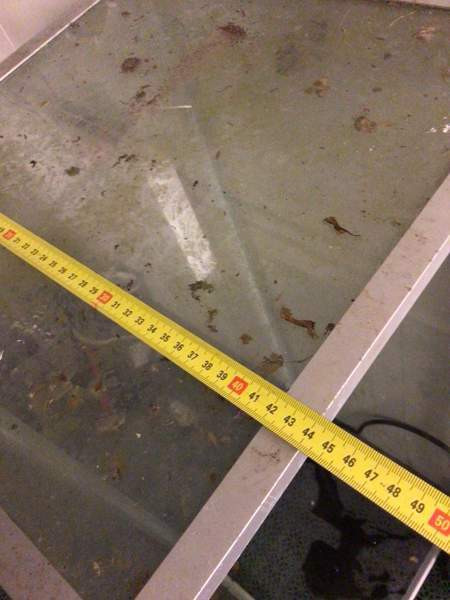 Terraario/akvaario Savonlinna - valokuva 8