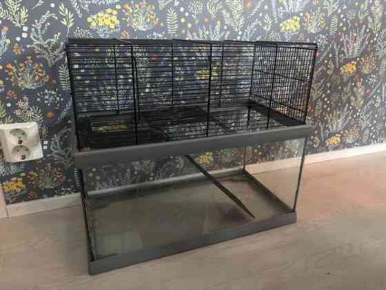 Terraario/häkki Kolari