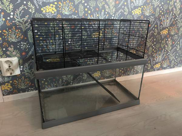 Terraario/häkki Kolari – foto 1