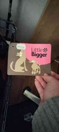 Lemmikin kevythäkki Sauvo