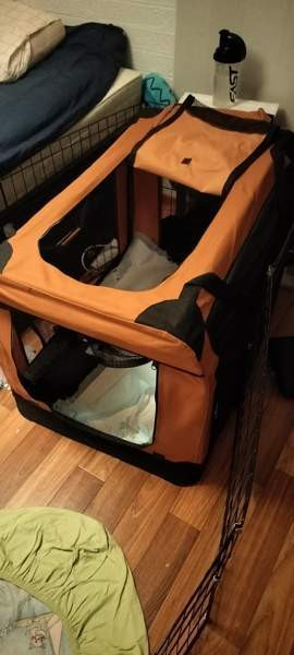 Lemmikin kevythäkki Sauvo - valokuva 3