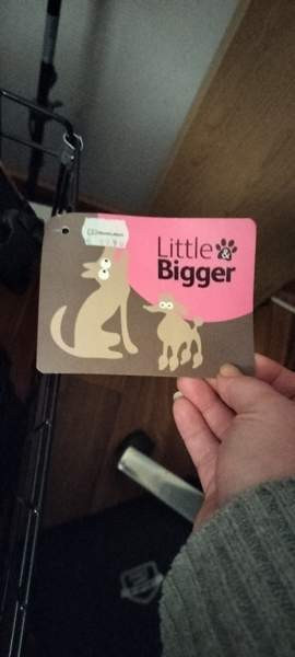 Lemmikin kevythäkki Sauvo - valokuva 2