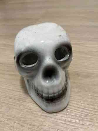 Akvaariokoriste Pirkkala