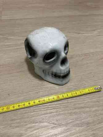 Akvaariokoriste Pirkkala