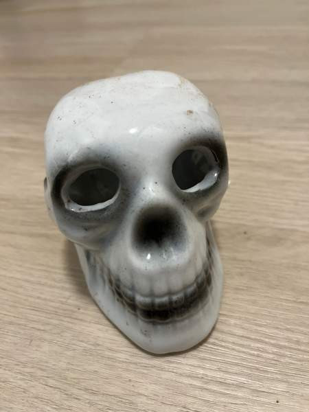 Akvaariokoriste Pirkkala – foto 2