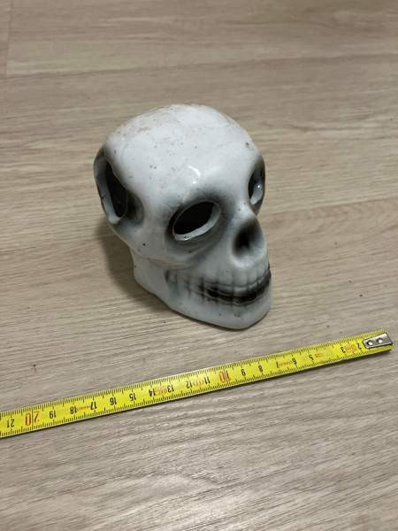 Akvaariokoriste Pirkkala – foto 1