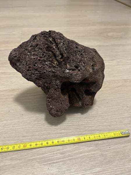 Akvaariokoriste Pirkkala – foto 1