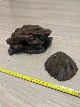 Akvaariokoriste Pirkkala