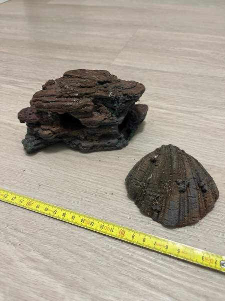 Akvaariokoriste Pirkkala - изображение 1