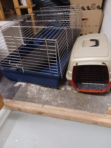 Jyrsijähäkki 100x45cm Helsinki – foto 1