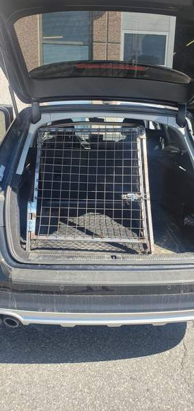 Audi a4 (B9) avant/allroad koiraveräjä vm.2015 ylöspäin Kuopio – foto 5