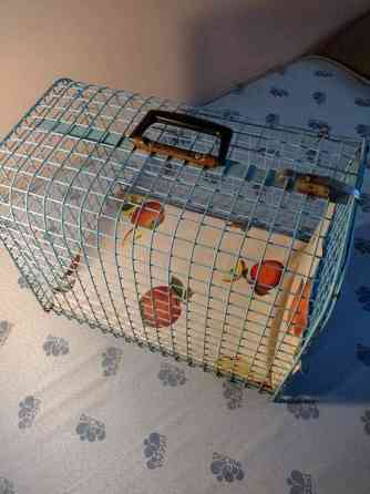 Kissan kuljetuslaatikko Kangasala